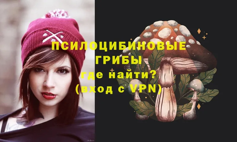 Галлюциногенные грибы Cubensis  Мыски 